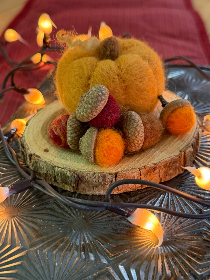 Fall Decor Needle Felting
