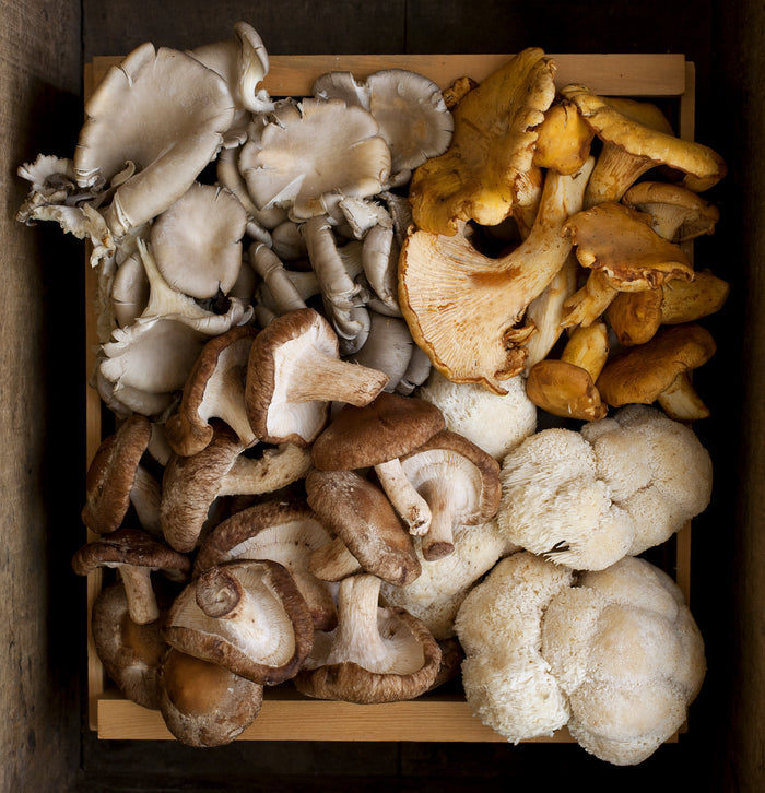 ***FRESH Chefs Mushroom Mix