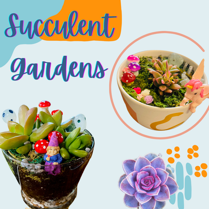 Workshop : Mini Succulent Garden