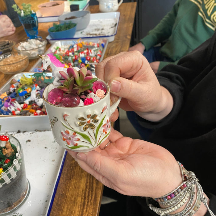 Workshop : Mini Succulent Garden