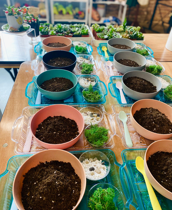 Workshop : Mini Succulent Garden